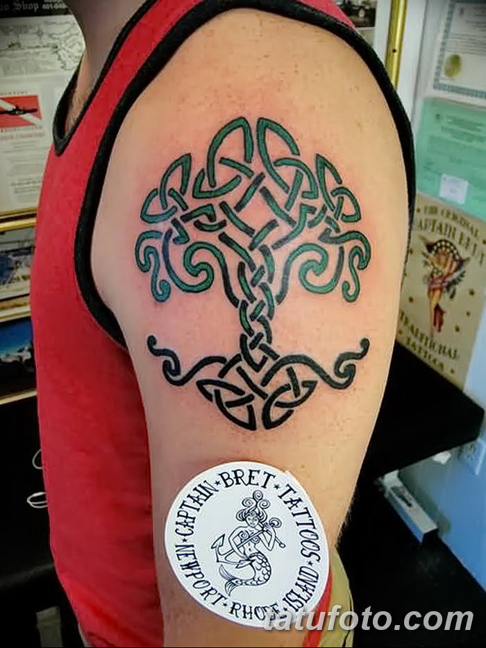 Celtic Tree of Life Tattoo