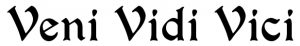 Черно-белое фото татуировки с надписью 'Veni Vidi Vici' выполненной стильным шрифтом. Простой и выразительный дизайн, подходящий для нанесения на предплечье или спину.