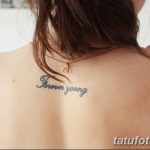 Фото рисунка Тату forever young 03.11.2018 №032 - Tattoo forever young - tatufoto.com