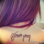 Фото рисунка Тату forever young 03.11.2018 №066 - Tattoo forever young - tatufoto.com