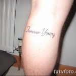Фото рисунка Тату forever young 03.11.2018 №080 - Tattoo forever young - tatufoto.com
