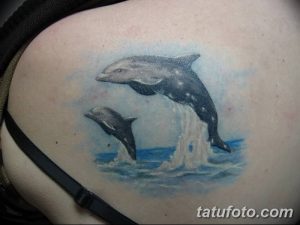 Фото тату: два дельфина, выпрыгивающих из воды, изображены на лопатке. Реалистичная проработка деталей и мягкие оттенки синего.