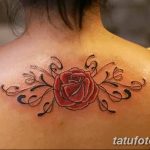 Фото рисунка Яркой татуировки 11.11.2018 №172 - photo Bright tattoo - tatufoto.com