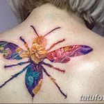 Фото рисунка Яркой татуировки 11.11.2018 №180 - photo Bright tattoo - tatufoto.com
