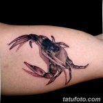 Фото рисунка тату 3d 24.11.2018 №071 - photo tattoo 3d - tatufoto.com