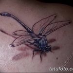 Фото рисунка тату 3d 24.11.2018 №073 - photo tattoo 3d - tatufoto.com