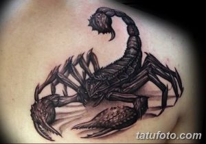 Фотография реалистичной татуировки скорпиона с детально прорисованными клещами и жалом на плече.