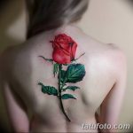 Фото тату красной розы на спине, выполненной в реалистичном стиле с использованием ярких красных и зеленых оттенков. Элегантный и романтичный рисунок.