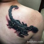 Фото рисунка тату 3d 24.11.2018 №255 - photo tattoo 3d - tatufoto.com