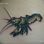 Фото рисунка тату 3d 24.11.2018 №261 - photo tattoo 3d - tatufoto.com