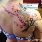 Фото рисунка тату на лопатке 05.11.2018 №008 -tattoo on the shoulder blade - tatufoto.com