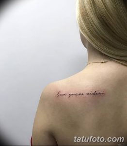 Фото тату: надпись на латыни "Esse quam videri" выполнена изящным шрифтом на плече. Минималистичная татуировка.