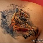 Фото рисунка тату на лопатке 05.11.2018 №037 -tattoo on the shoulder blade - tatufoto.com