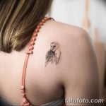 Фото рисунка тату на лопатке 05.11.2018 №113 -tattoo on the shoulder blade - tatufoto.com