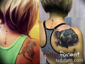 Фото тату пантеры на спине. Сравнение эскиза и готовой татуировки, выполненной в реалистичном стиле.