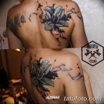 Фото рисунка тату на лопатке 05.11.2018 №120 -tattoo on the shoulder blade - tatufoto.com