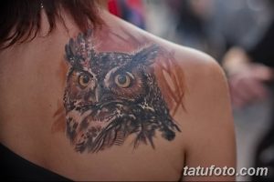 Фото тату совы на плече. Детализированный рисунок совы с яркими глазами, выполненный в реалистичном стиле.