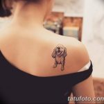 Фото рисунка тату на лопатке 05.11.2018 №130 -tattoo on the shoulder blade - tatufoto.com