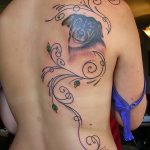 Фото рисунка тату на лопатке 05.11.2018 №183 -tattoo on the shoulder blade - tatufoto.com