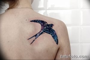 Фото тату: татуировка ласточки, выполненная в стиле космос, на женской спине. Рисунок татуировки с использованием синих, фиолетовых и черных оттенков.