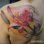 Фото рисунка тату на лопатке 05.11.2018 №205 -tattoo on the shoulder blade - tatufoto.com