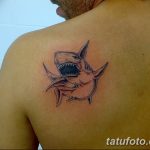Фото рисунка тату на лопатке 05.11.2018 №219 -tattoo on the shoulder blade - tatufoto.com