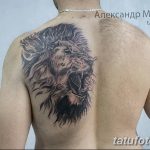 Фото тату на спине: реалистичное изображение головы льва, рычащего во всю мощь, выполненное в черно-серых тонах с детальной проработкой гривы.