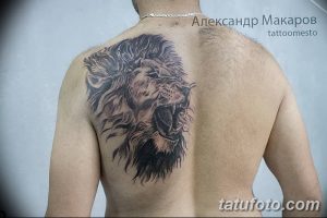 Фото тату на спине: реалистичное изображение головы льва, рычащего во всю мощь, выполненное в черно-серых тонах с детальной проработкой гривы.