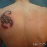 Фото тату на спине: изображение скорпиона в классическом стиле, выполненное в черно-серых тонах с детальной проработкой панциря и хвоста.