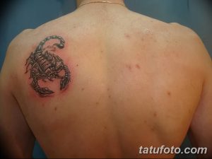 Фото тату на спине: изображение скорпиона в классическом стиле, выполненное в черно-серых тонах с детальной проработкой панциря и хвоста.