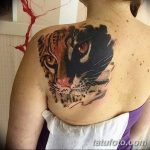 Фото рисунка тату на лопатке 05.11.2018 №227 -tattoo on the shoulder blade - tatufoto.com