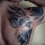 Фото рисунка тату на лопатке 05.11.2018 №255 -tattoo on the shoulder blade - tatufoto.com