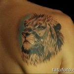Фото рисунка тату на лопатке 05.11.2018 №264 -tattoo on the shoulder blade - tatufoto.com