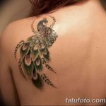 Фото рисунка тату на лопатке 05.11.2018 №268 -tattoo on the shoulder blade - tatufoto.com