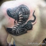 Фото реалистичной татуировки кобры на спине. Детализированный рисунок змеи с расправленной капюшоном, выполненный в черно-серых тонах.
