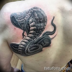 Фото реалистичной татуировки кобры на спине. Детализированный рисунок змеи с расправленной капюшоном, выполненный в черно-серых тонах.