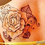 Фото рисунка тату на лопатке 05.11.2018 №388 -tattoo on the shoulder blade - tatufoto.com