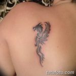 Фото рисунка тату на лопатке 05.11.2018 №400 -tattoo on the shoulder blade - tatufoto.com