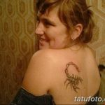 Фото рисунка тату на лопатке 05.11.2018 №402 -tattoo on the shoulder blade - tatufoto.com