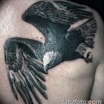 Фото тату орла на плече мужчины. Реалистичный рисунок с распахнутыми крыльями и детальной проработкой перьев. Черно-серые тона.