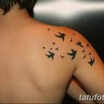 Фото тату: стая маленьких черных птиц, летящих в разные стороны, выполненная на плече. Простой и элегантный дизайн.