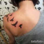 Фото рисунка тату на лопатке 05.11.2018 №427 -tattoo on the shoulder blade - tatufoto.com