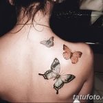 Фото тату трех бабочек на спине девушки. Разные размеры и оттенки, реалистичный рисунок.