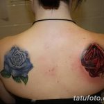 Фото рисунка тату на лопатке 05.11.2018 №466 -tattoo on the shoulder blade - tatufoto.com