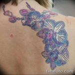Фото рисунка тату на лопатке 05.11.2018 №473 -tattoo on the shoulder blade - tatufoto.com
