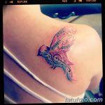 Фото рисунка тату на лопатке 05.11.2018 №516 -tattoo on the shoulder blade - tatufoto.com