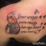 Фото рисунка тату на лопатке 05.11.2018 №517 -tattoo on the shoulder blade - tatufoto.com