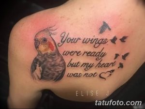 Фото тату на плече: изображение попугая с надписью "Your wings were ready but my heart was not". Эмоциональный и запоминающийся рисунок.