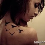 Фото рисунка тату на лопатке 05.11.2018 №519 -tattoo on the shoulder blade - tatufoto.com