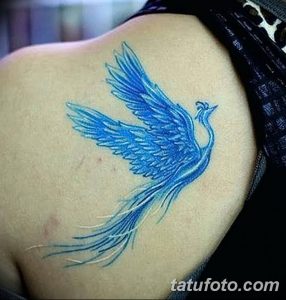 Фото тату с изображением павлина на плече. Яркий голубой цвет и детализированные перья создают эффектный вид.